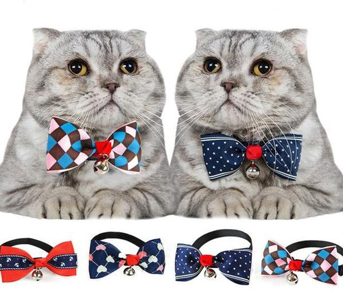 British Style Pet Cat Bow Tie