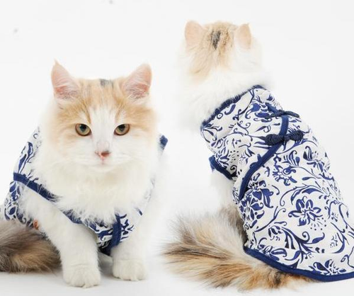 Retro Elegant Style Blue and White Dress for Cat