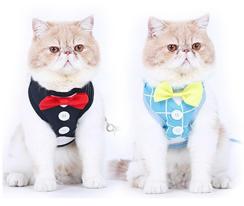 Mr. Hoopet British Cat Bowtie & Vest Leash