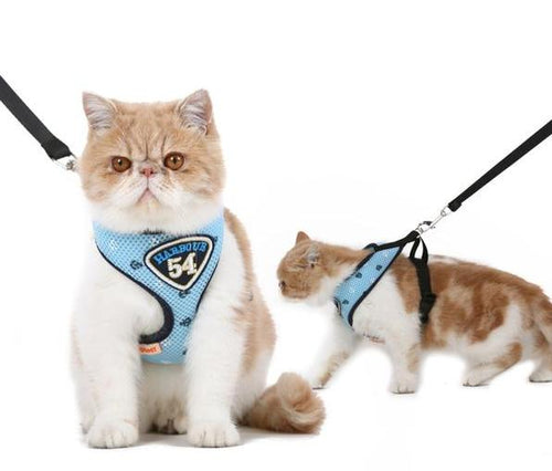 Blue Cat Leash and Harness Vest