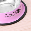 Stainless Steel Anti-skid Pet Cat Food Water Bowl