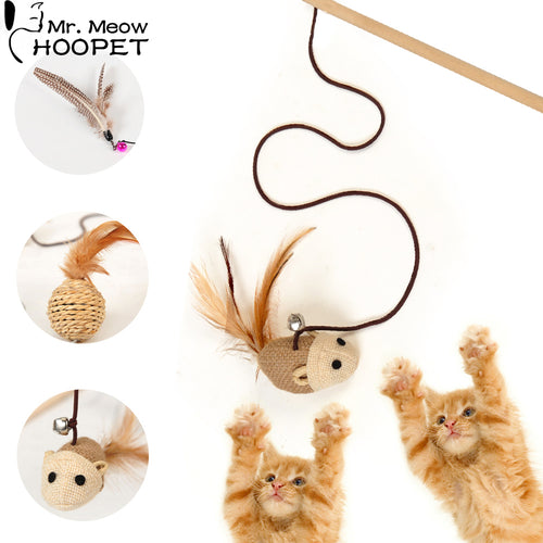 Interactive Mouse and String Teaser Toy