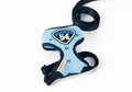 Blue Cat Leash and Harness Vest