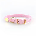 Kitten Puppies Pet Cats Collars