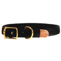 Kitten Puppies Pet Cats Collars